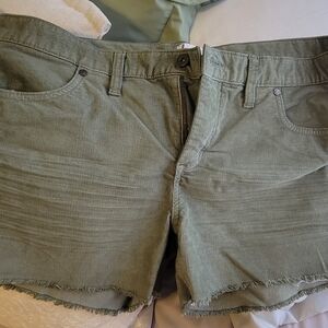 Carve Designs Beige-Green Corduroy Shorts